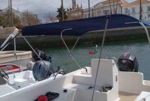 Faro: Dolphin and Marine Life Watching Boat Tour