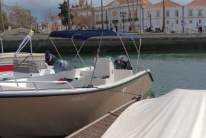 Faro: Dolphin and Marine Life Watching Boat Tour