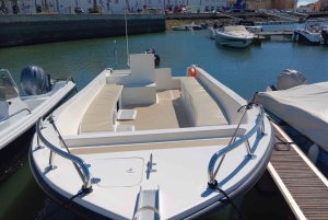 Faro: Tour en barco para avistar delfines y vida marina