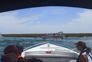 Faro: Tour en barco para avistar delfines y vida marina