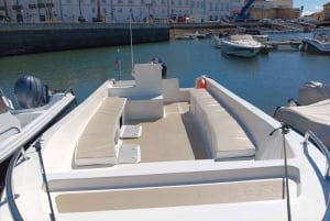 Faro: Tour en barco para avistar delfines y vida marina