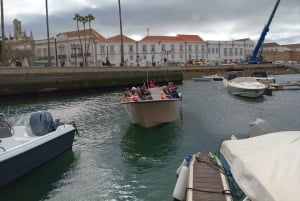 Faro: Tour en barco para avistar delfines y vida marina