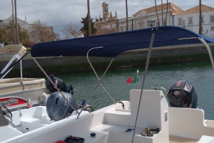 Faro: Tour en barco para avistar delfines y vida marina