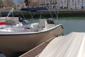 Faro: Tour en barco para avistar delfines y vida marina