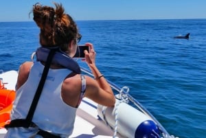 Faro: Dolphin and Wildlife Watching in the Atlantic Ocean