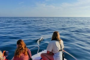 Faro: Dolphin and Wildlife Watching in the Atlantic Ocean