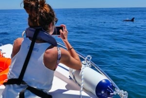 Faro: obserwacja delfinów i dzikiej przyrody na Oceanie Atlantyckim