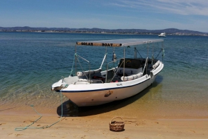 Faro: Eco-Friendly Ria Formosa Bird Watching in Solar Boat