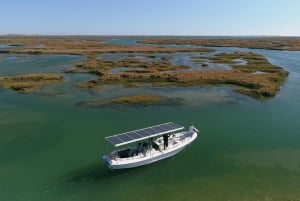 Faro: Eco-Friendly Ria Formosa Bird Watching in Solar Boat