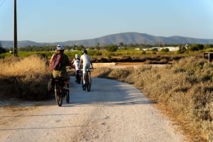 Faro: wypożyczenie e-rowerów na cały dzień