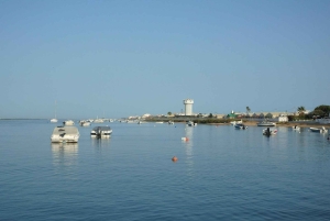 ファロ：リア・フォルモサでのフルデイ・プライベートチャーター