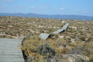 ファロ：リア・フォルモサでのフルデイ・プライベートチャーター