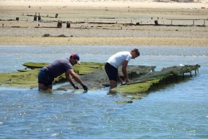 ファロ：リア・フォルモサでのフルデイ・プライベートチャーター