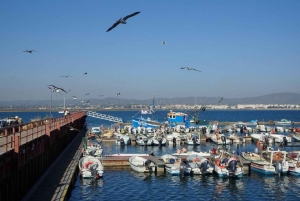 ファロ：リア・フォルモサでのフルデイ・プライベートチャーター