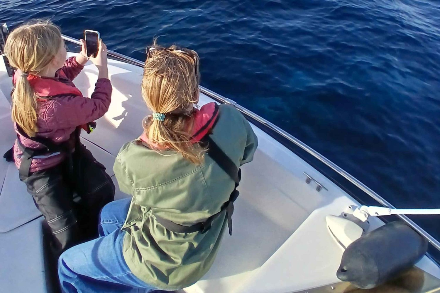 Faro: Funtastic Dolphin Watching Boat Tour