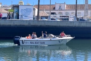 Faro: Passeio de barco fantástico para observação de golfinhos
