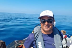 Faro: Funtastic Dolphin Watching Boat Tour