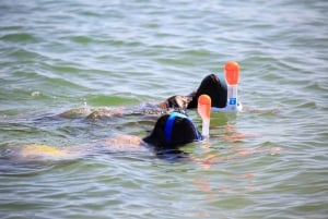 Faro: excursión privada de medio día en la Ría Formosa