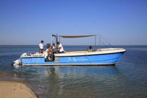 Faro : excursion privée d'une demi-journée dans la Ria Formosa