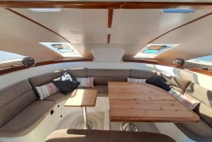 Faro : visite d'une demi-journée privée dans le parc naturel de Ria Formosa