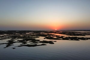 Faro : visite d'une demi-journée privée dans le parc naturel de Ria Formosa