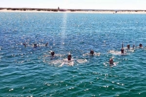 Faro : visite d'une demi-journée privée dans le parc naturel de Ria Formosa