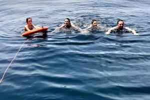 Faro : visite d'une demi-journée privée dans le parc naturel de Ria Formosa