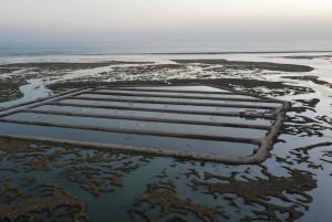 Faro : visite d'une demi-journée privée dans le parc naturel de Ria Formosa
