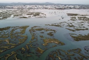 Faro : visite d'une demi-journée privée dans le parc naturel de Ria Formosa