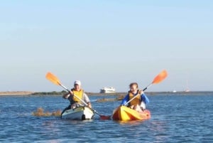 Faro: Noleggio di kayak nel Parco Naturale di Ria Formosa