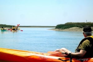 Faro: Kayak Hire in Ria Formosa Natural Park