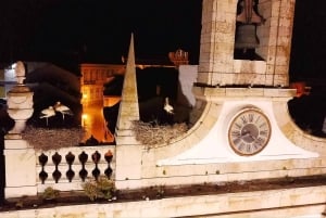 Faro: tour notturno in Segway con cocktail