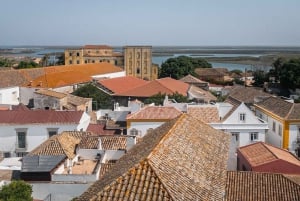 Faro: Private & Flexible Walking Tour in Historic Center