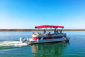 Faro: Privat båttur på Ria Formosa Faro-øyene