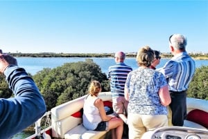 Faro: Privat båttur på Ria Formosa Faro-øyene
