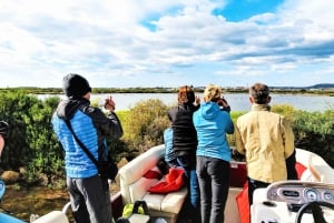 Faro: Privat båttur på Ria Formosa Faro-øyene