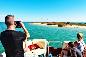 Faro: Privat båttur på Ria Formosa Faro-øyene