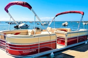 Faro: Privat båttur på Ria Formosa Faro-øyene