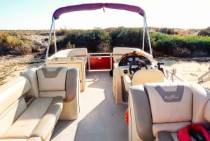 Faro: Privat båttur på Ria Formosa Faro-øyene