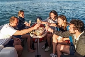 Faro: Catamaran privétour op de Faro Eilanden van Ria Formosa