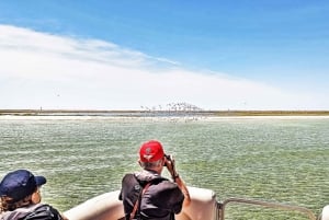 Faro: Private Ria Formosa Faro Islands Boat Tour