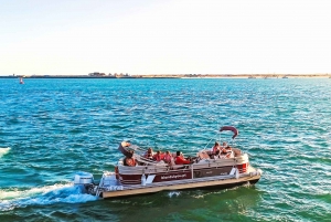 Faro: Catamaran privétour op de Faro Eilanden van Ria Formosa