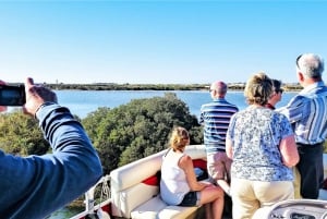 Faro: Catamaran privétour op de Faro Eilanden van Ria Formosa