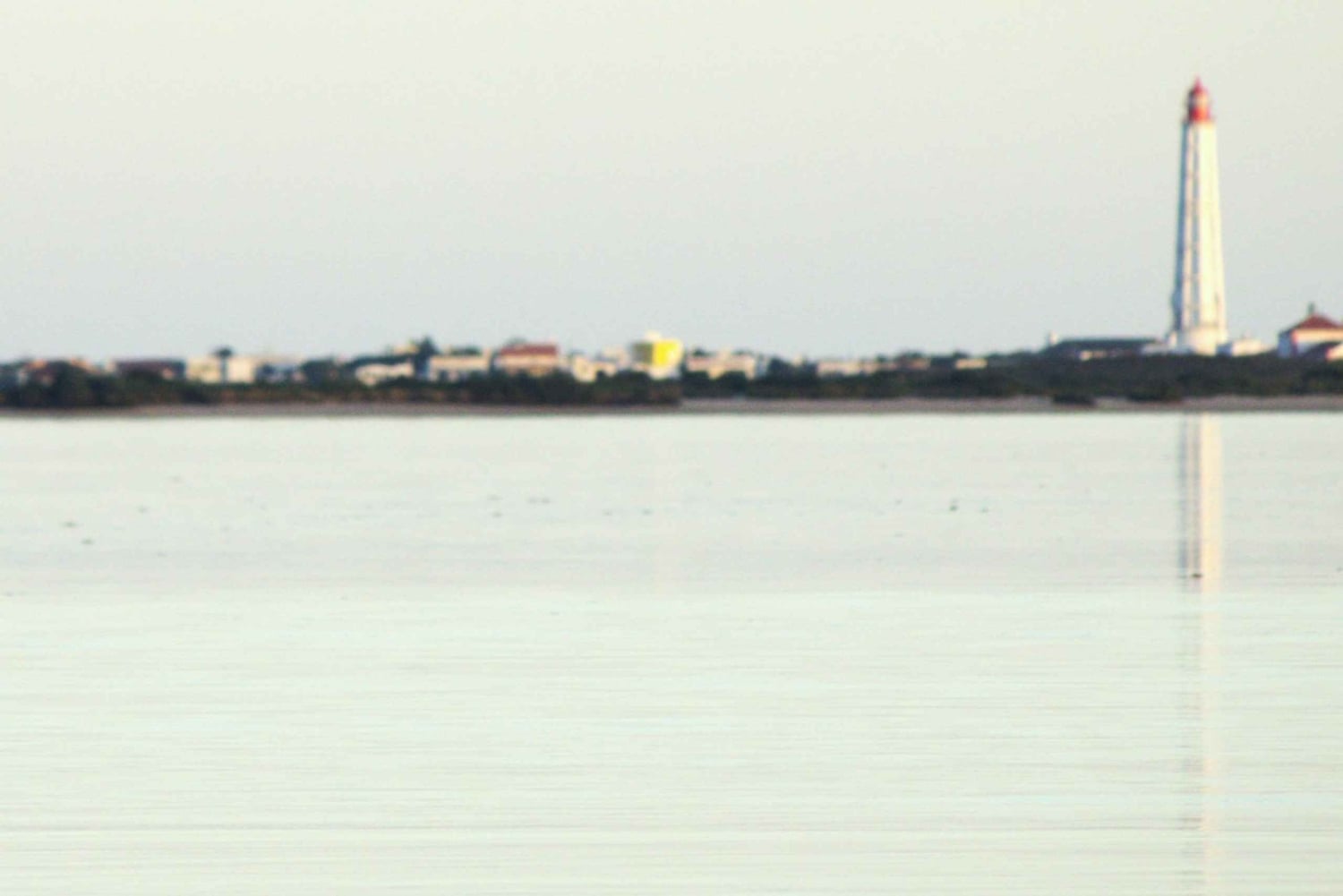 Faro: Pudim Real Boat Tours 6 timmar guidad tur med båt i Ria Formosa