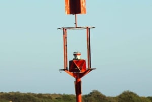 Faro: Pudim Real Boat Tours 6 timmar guidad tur med båt i Ria Formosa