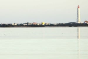 Faro: Pudim Real Boat Tours 6 timmar guidad tur med båt i Ria Formosa