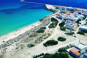 Faro: Pudim Real Boat Tours 6 timmar guidad tur med båt i Ria Formosa