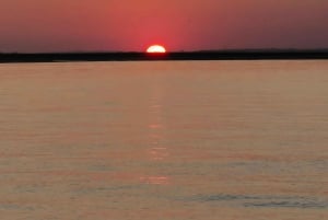 Faro, Ria Formosa: 2 uur durende boottocht bij zonsondergang