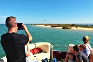 Faro: Rejs wycieczkowy po Ria Formosa