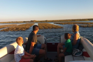 Faro: Rejs wycieczkowy po Ria Formosa